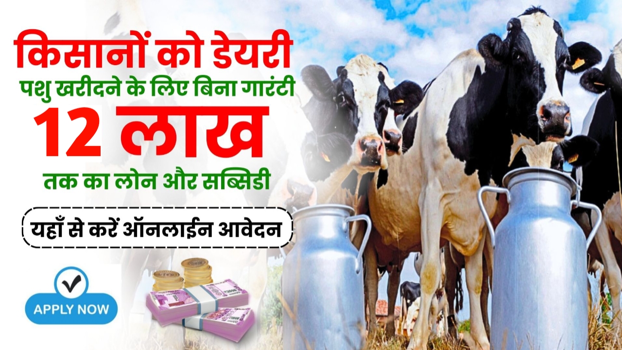 Dairy farming loan: डेयरी खोलने पर मिलेगी 12 लाख रुपए की सब्सिडी, ऐसे उठाएं लाभ |